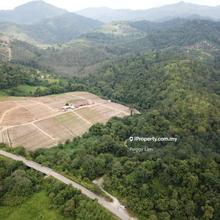 Agriculture land for Sale
