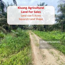 Kluang, Agricultural Land, Land 5 Acres