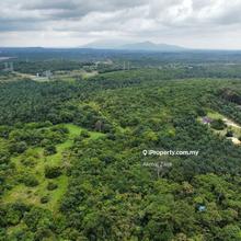 15 Acre Sungai Udang Melaka
