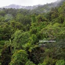 Freehold Land 122 acres for Development at Jasin Bemban for Sale