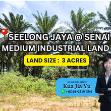 Seelong Senai 3 Acres Medium Industry Land