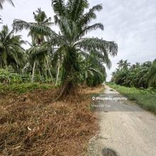17.5 Acres Freehold Zone Residential Tanjung Karang Kuala Selangor