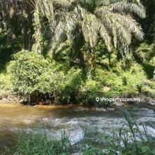 Palm Oil Plantation @ Sungai Siput for Sale