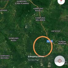 Oil palm Land For Sale! Located at Sumpas Tampek, Serian