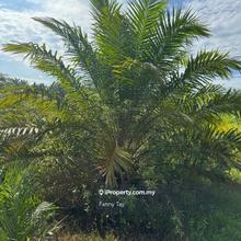 Industrial Land at Batang Berjuntai, Rawang For Sale