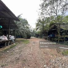Poultry Farm for Sale