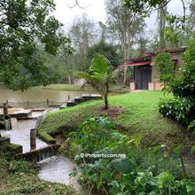 Orchard For Sale Serendah