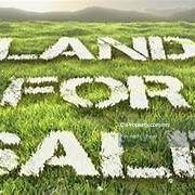 Johan Setia 1 acre Flat Land For Sale