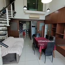 1 room Scott garden