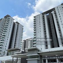 Auction/Lelong