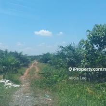 10 acres agricultural land @Ijok Bestali Jaya  road frontage.