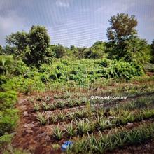 1 acre agriculture land for sale in Johan Setia
