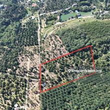 Mantin Seremban Agriculture Land for sale 