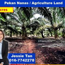 Pekan nanas oil palm agriculture land for sale