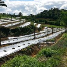 Industrial Land, Rawang, Selangor Darul Ehsan For Sale