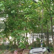 Residential land at dengkil with km for sale!!