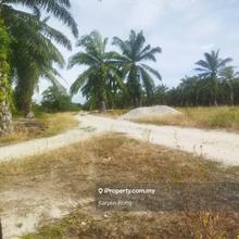 Sitiawan Perak 942.3 Acre Agriculture Land For Sale Beside Wce Highway