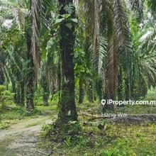 Kuantan Land For Sale