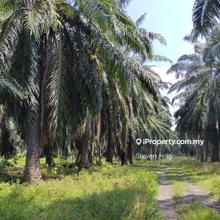 Freehold land in Changkat Nibong Tebal
