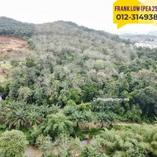 Agriculture land for Sale