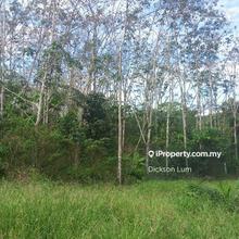 6.395 Acres Pelangai Rubber Trees Land For Sale