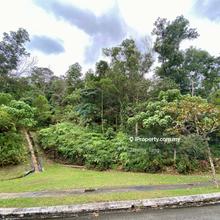 Sloped Residential Land Backed by Forest Reserve