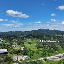 Big land size 