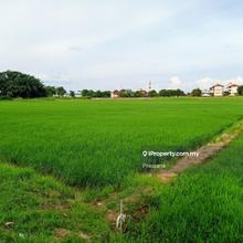 Tanah Lot 1st Grade @ Permatang Manggis, Kepala Batas,Penang.