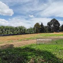 Industrial zoning Agri land for sale, Pekan nanas, Pontian Johor