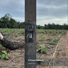 For sale Pontian agriculture land corner lot