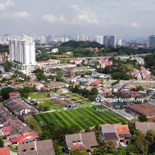 City and greenery view
