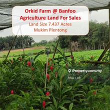 Orkid Farm@ Banfoo, Agriculture Land