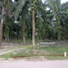 Telok Panglima Garang, Jenjarom, Banting, Kuala Langat, Selangor
