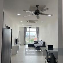 Fully Renovated & Furnished