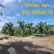 Kapar  @  Agricultural Land For Sale