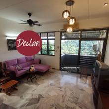 Fully Furnished, Tastefully renovated, Move in condition