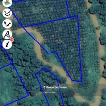 Pekan - Lfs079 Agriculture Land 