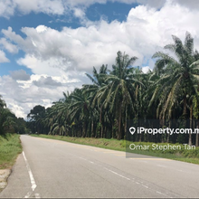 Oil Palm Plantation Land @ Jelai Batu Kurau Perak