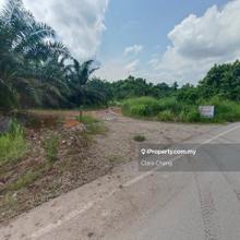 Bukit Batu 35 @ Johor Land for Sale