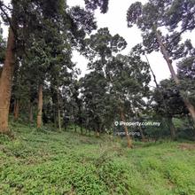 Agriculture land for Sale