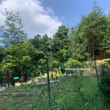 Agriculture land for Sale