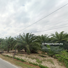 Agriculture Land For Sale @ Jugra, Banting