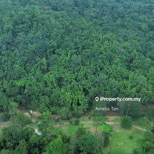 123-acres beautiful agri land