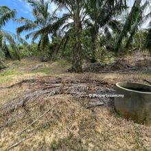 Freehold Below Value 26 acres Agriculture Land with Reserved Road