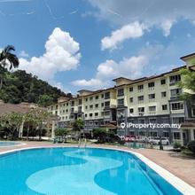 Desa Tanjung Apartment Puchong Below Market Value
