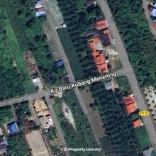 Below Market 7.23 Acre Agricultural Land Kampung Baharu Tasek Gelugor