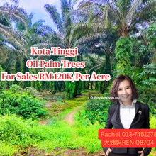 Kota Tinggi 
