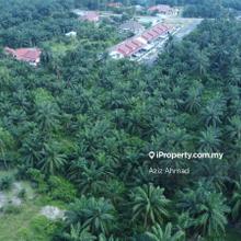 Mudah Akses Tanah Pertanian Zoning Kediaman Banting 