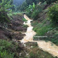 Bentong freehold durian orchard farm Pahang for sale sabai lerai