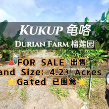 Agriculture land for Sale